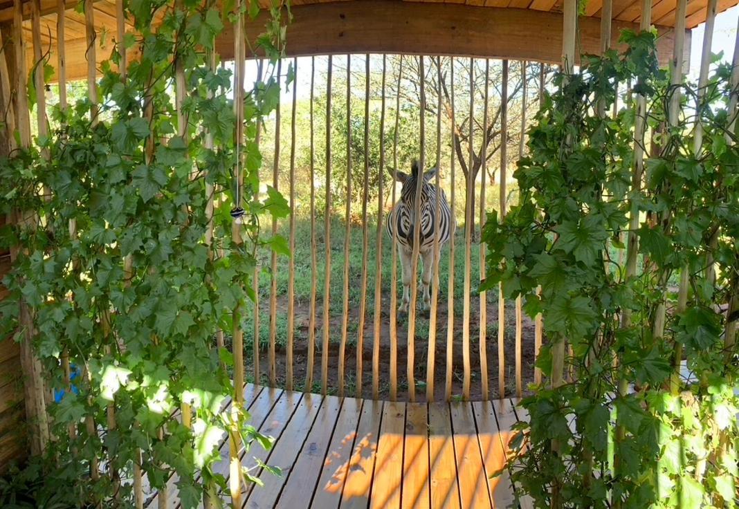 Mudhouse Zululand Villa Hluhluwe Exterior photo